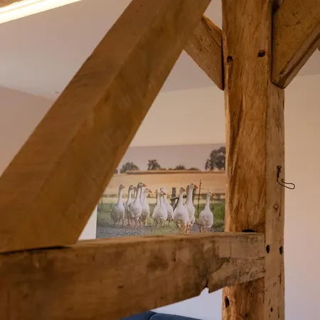 Reethus 22 Ferienlofts Bei Timmendorfer Апартаменты Тиммендорфер-Штранд